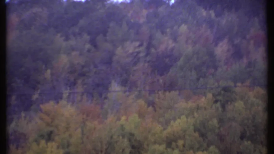 1979 Ithaca 8mm frame showing layered woodland and a faint horizontal power line crossing the lower hillside.