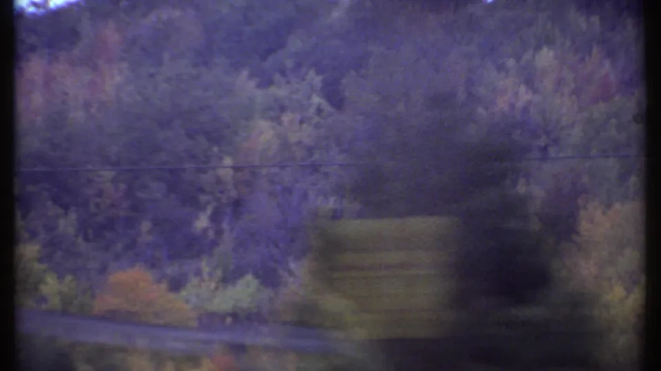 Final 8mm frame from Ithaca showing trees, a faint road or clearing, a power line, and a dark blurred shape passing near the lens.