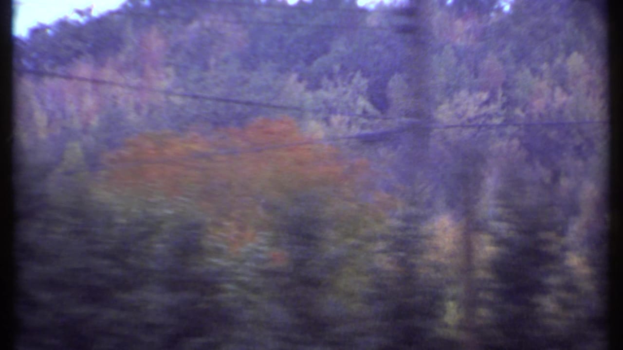 Soft-focus wooded hillside with autumn trees and pale sky.