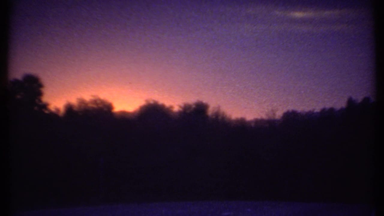 Purple dusk sky and orange sunset band over a dark row of trees.