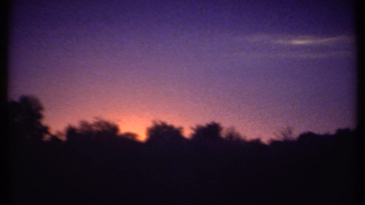 Purple evening sky with orange horizon glow behind dark tree silhouettes.