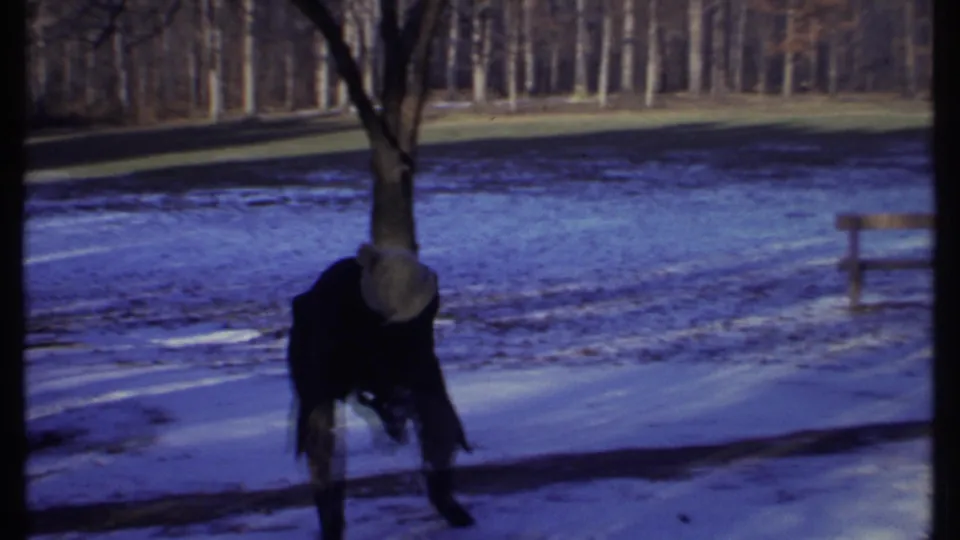 A bundled person bends forward in a snowy Ithaca park, possibly reaching for snow, with trees and a bench nearby.