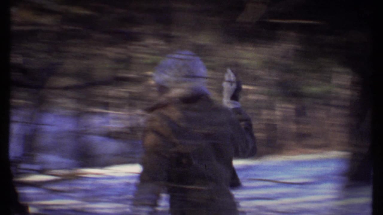 Bundled person in a snowy wooded park, blurred by handheld motion.