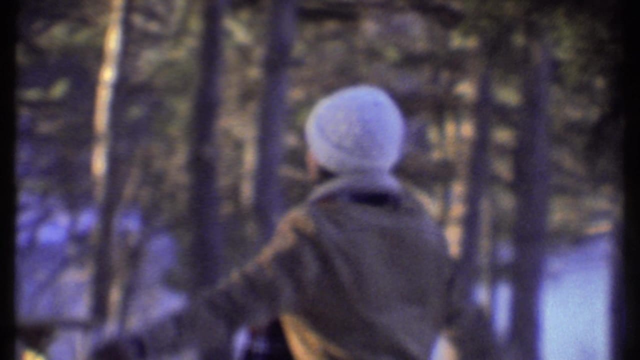 Person in a knit hat walking among bare trees in snow.