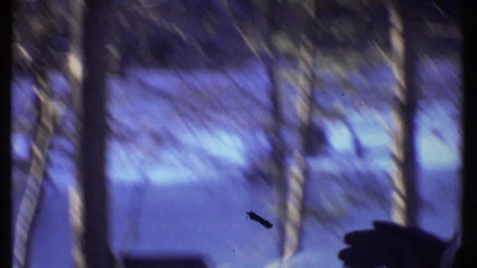 Soft, handheld 8mm frame of snowy woods with bare branches and a dark gloved hand entering at the right edge.