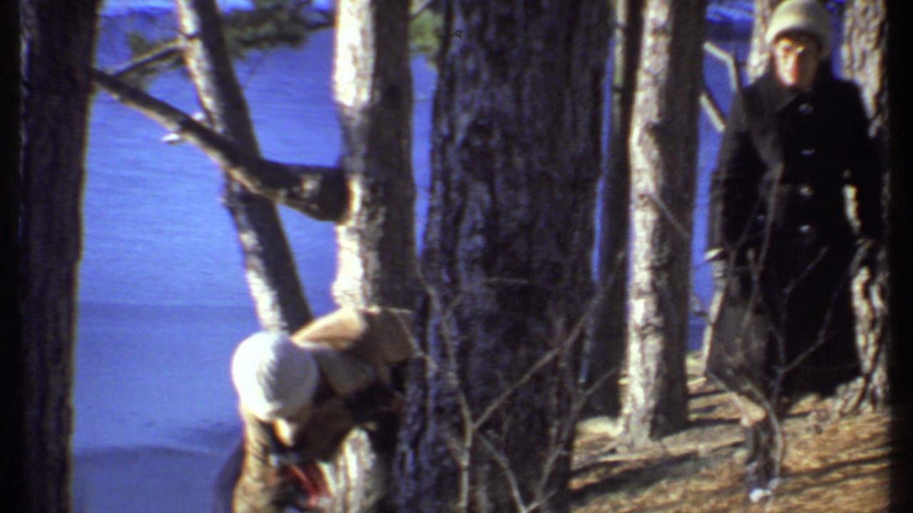 Person in a light hat bends near pine trees beside blue lake water.