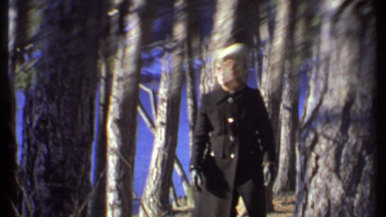 A person in a dark winter coat and light knit hat walks between pine trunks near the Ithaca lakeshore in 1979 footage.