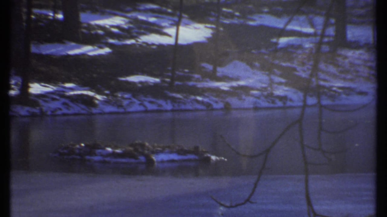 Snowy wooded pond with bare trees and a dark band at the film edge.