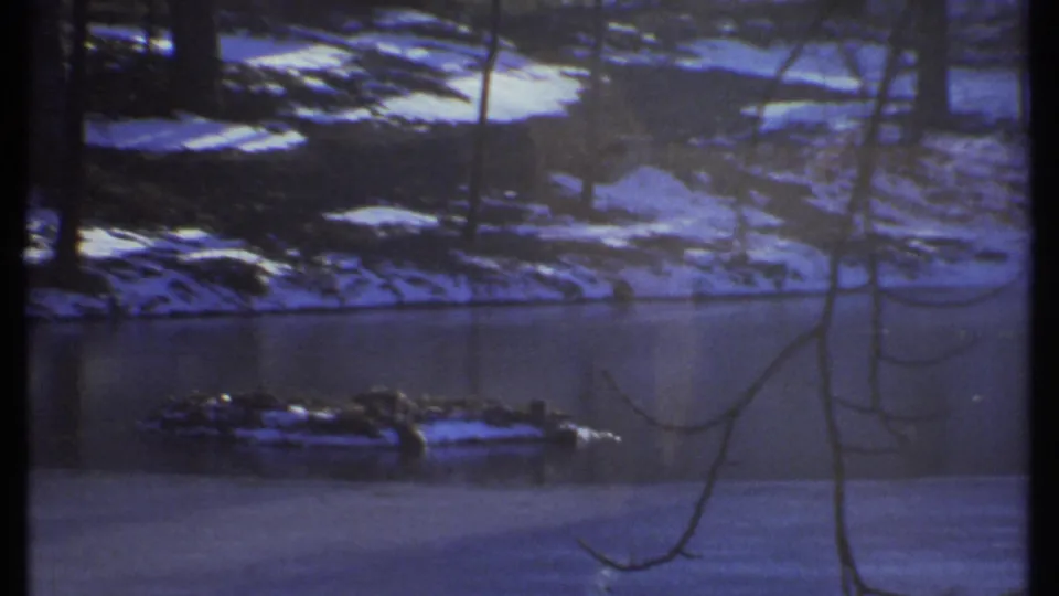 1979 8mm view of a snowy wooded pond or stream in Ithaca, New York, with bare trees and cool blue winter exposure.
