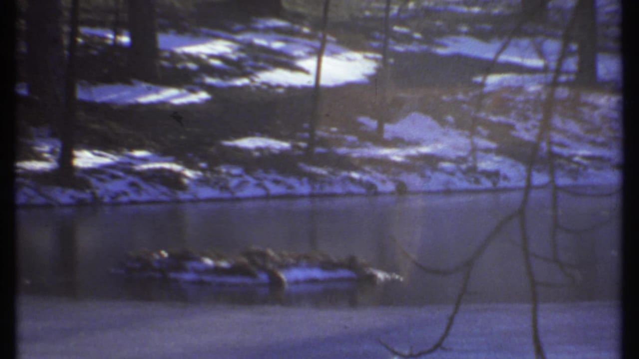 Snowy pond bank with trees, branches, and dark vertical film border.