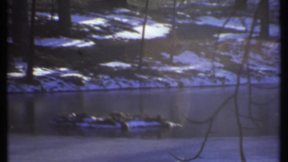 Snowy wooded waterway in the 1979 Ithaca home movie, framed through bare branches with visible 8mm film borders.
