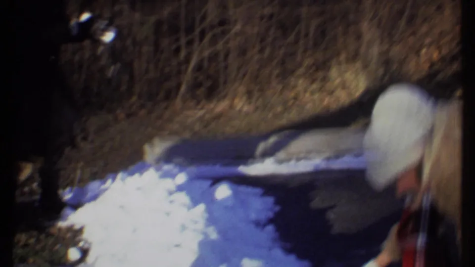 In the Ithaca winter scene, a bundled person in a white hat bends toward a snow pile near a dark wooded pond edge.
