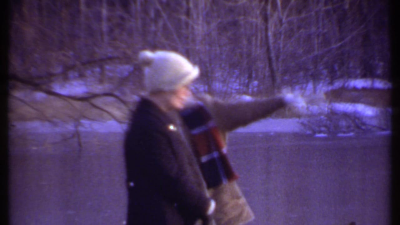 Two bundled people stand beside a frozen pond while one points toward ducks on the ice.