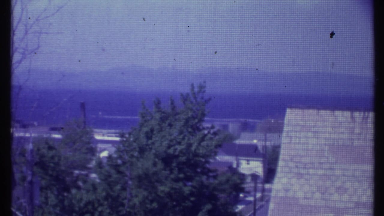 Screened window view of trees, a shingled roof, distant buildings, and hazy mountains.