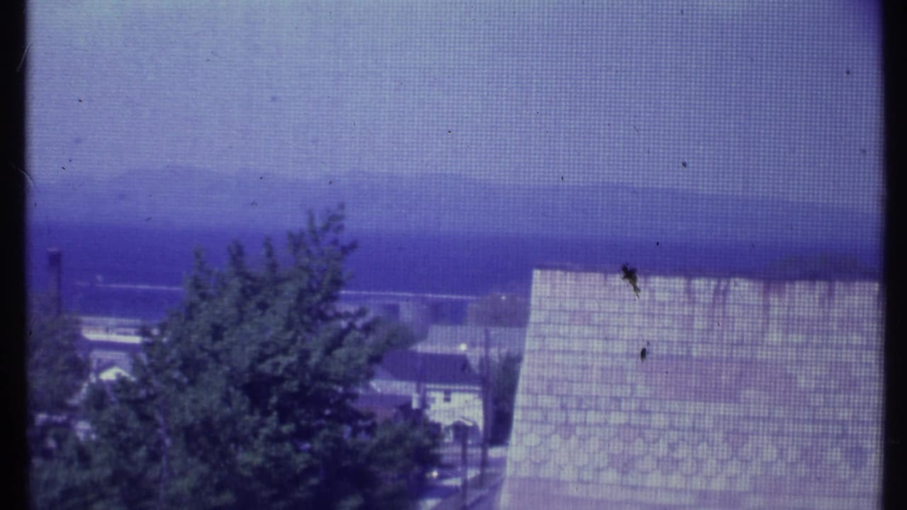Trees and a pale sloped roof seen through a screen with mountains in the distance.