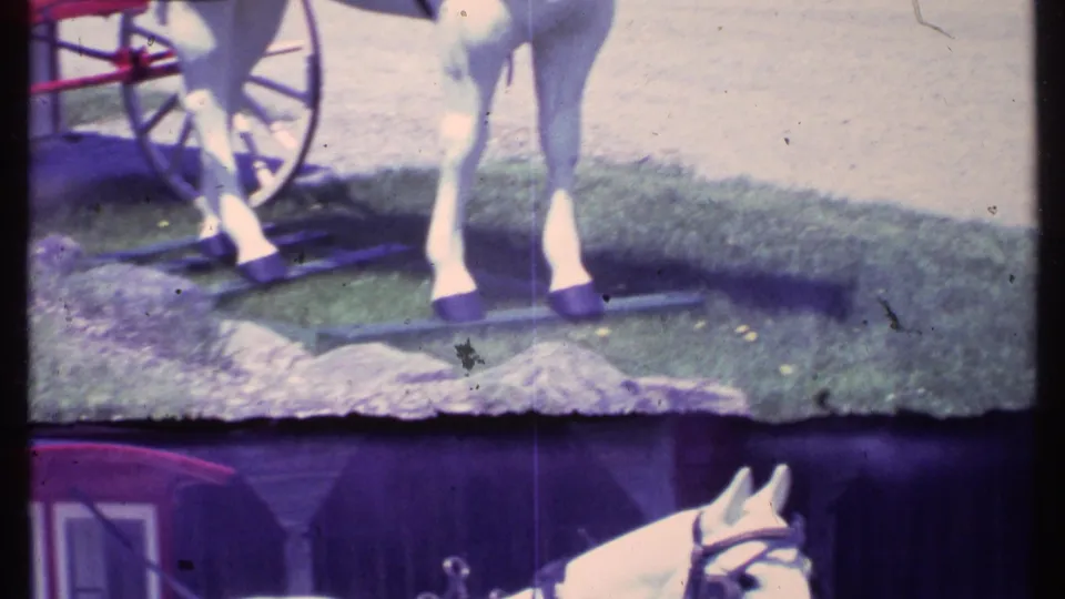 Lower framing of the white carriage horse, red shaft, and wheel beside grass and gravel in the Vermont 1984 footage.