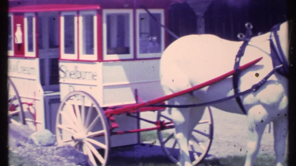 1984 Vermont 8mm frame of a white horse standing beside a Shellburne Dairy milk-and-cream wagon with spoked wheels.