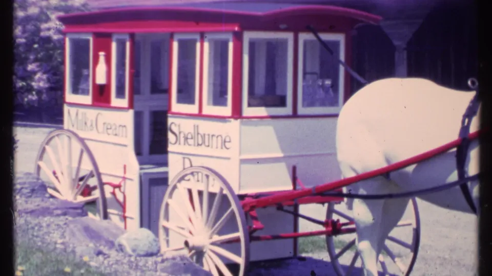 The Shellburne Dairy wagon and harnessed white horse are shown in bright outdoor light in this Vermont home-movie frame.
