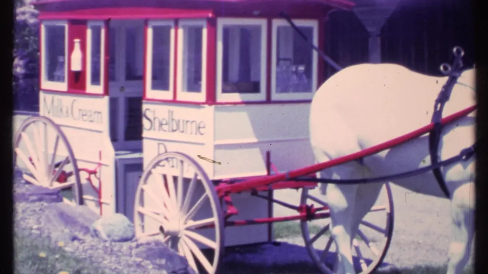 The final frame holds on the harnessed white horse and Shellburne Dairy wagon, with red trim and bright sun on the grass.