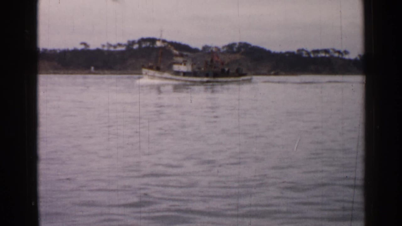 White tugboat moving across calm water with a tree-lined shoreline behind it.