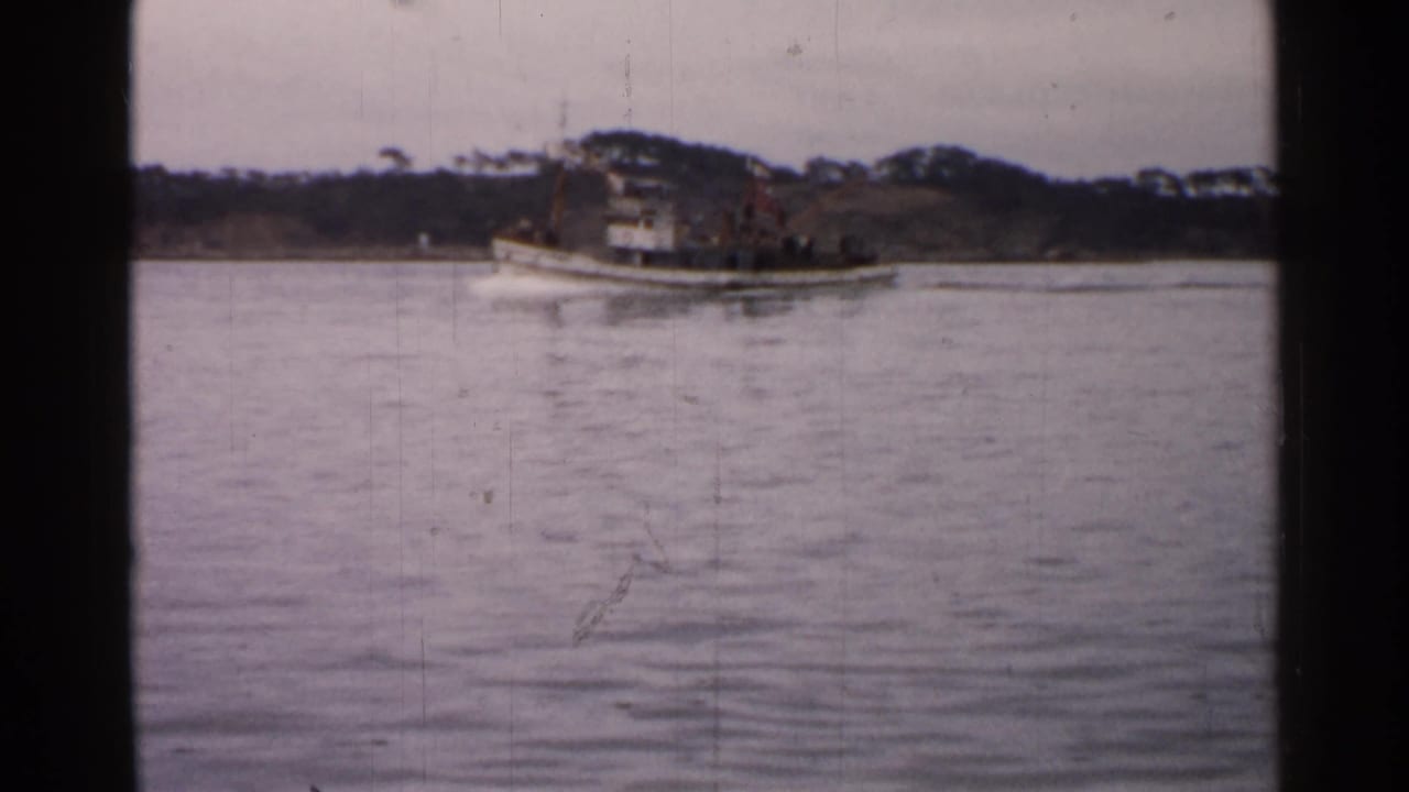 1952 Japan 8mm frame with the white tugboat moving rightward across still water, backed by a dark shoreline and pale sky.
