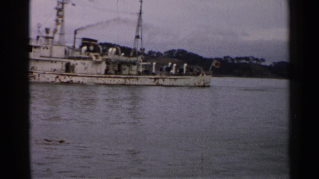 White ship with a mast anchored in calm water near a wooded shoreline.