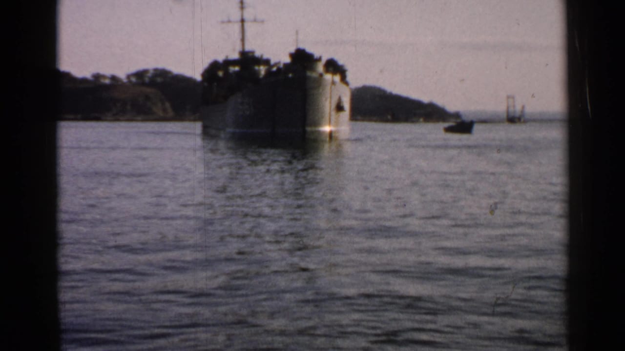 Large ship seen across calm water with shoreline and distant bridge-like structure.