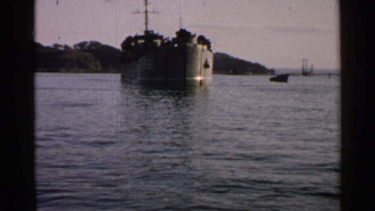 Large naval vessel anchored in calm water near a wooded shoreline.
