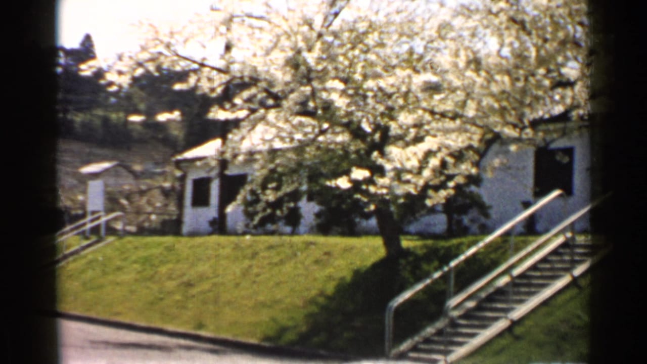 White building behind flowering trees, with stairs and railings on a grassy slope.