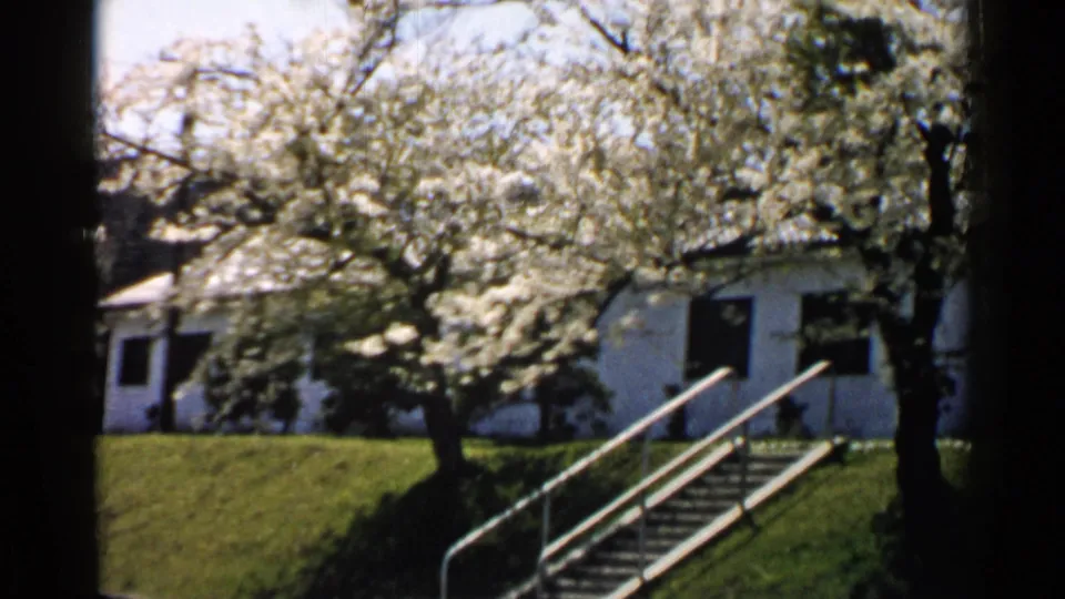 1952 Japan home-movie still with a flowering tree, white exterior wall, dark opening, stairs, railings, and lawn.