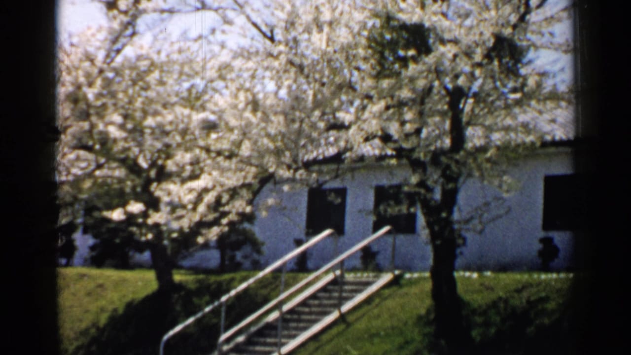 1952 Japan 8mm frame showing blooming cherry trees, a white building, dark windows, and stair rails in bright sun.