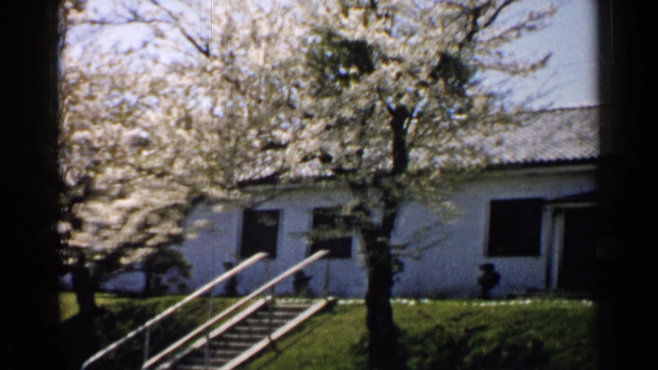 White building and flowering trees seen beyond metal-railed steps in strong daylight.