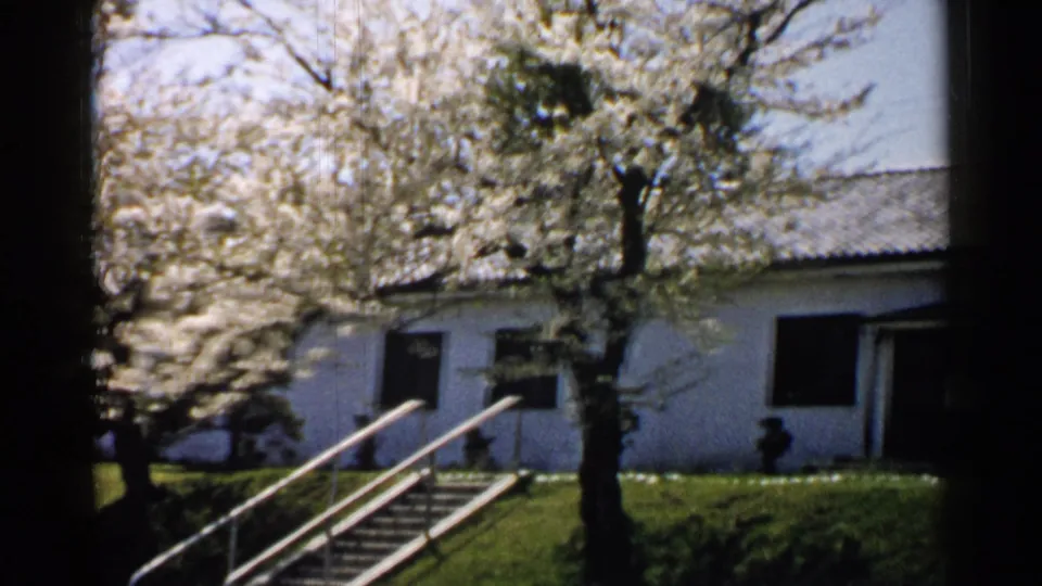 1952 Japan home-movie frame with cherry blossoms, white exterior walls, tiled roofline, and steps rising from the grass.