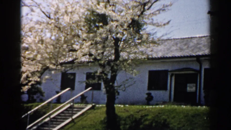 1952 Japan 8mm frame showing blossoms in front of a white building, with a visible entrance and grassy foreground.