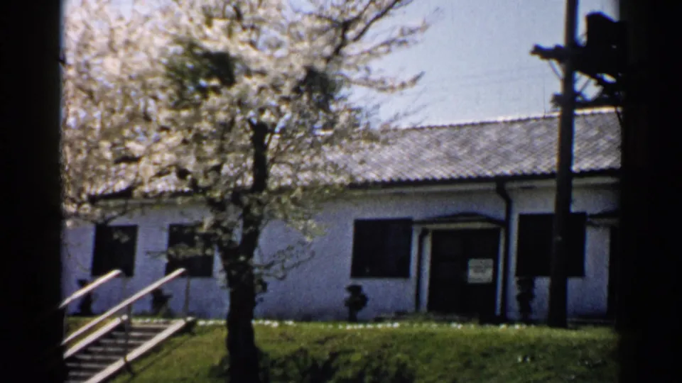 1952 Japan 8mm frame with cherry blossoms, a white building entrance, dark windows, stair rails, and a foreground post.