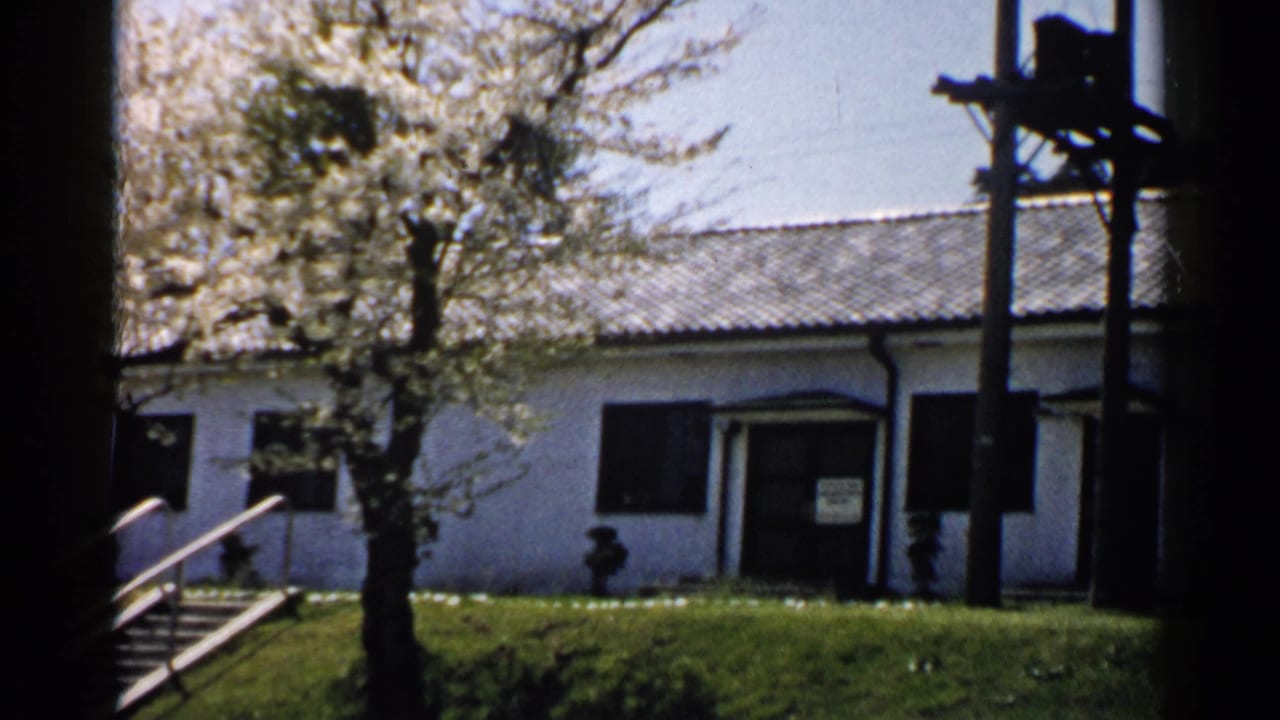 White single-story house behind a flowering tree and lawn.