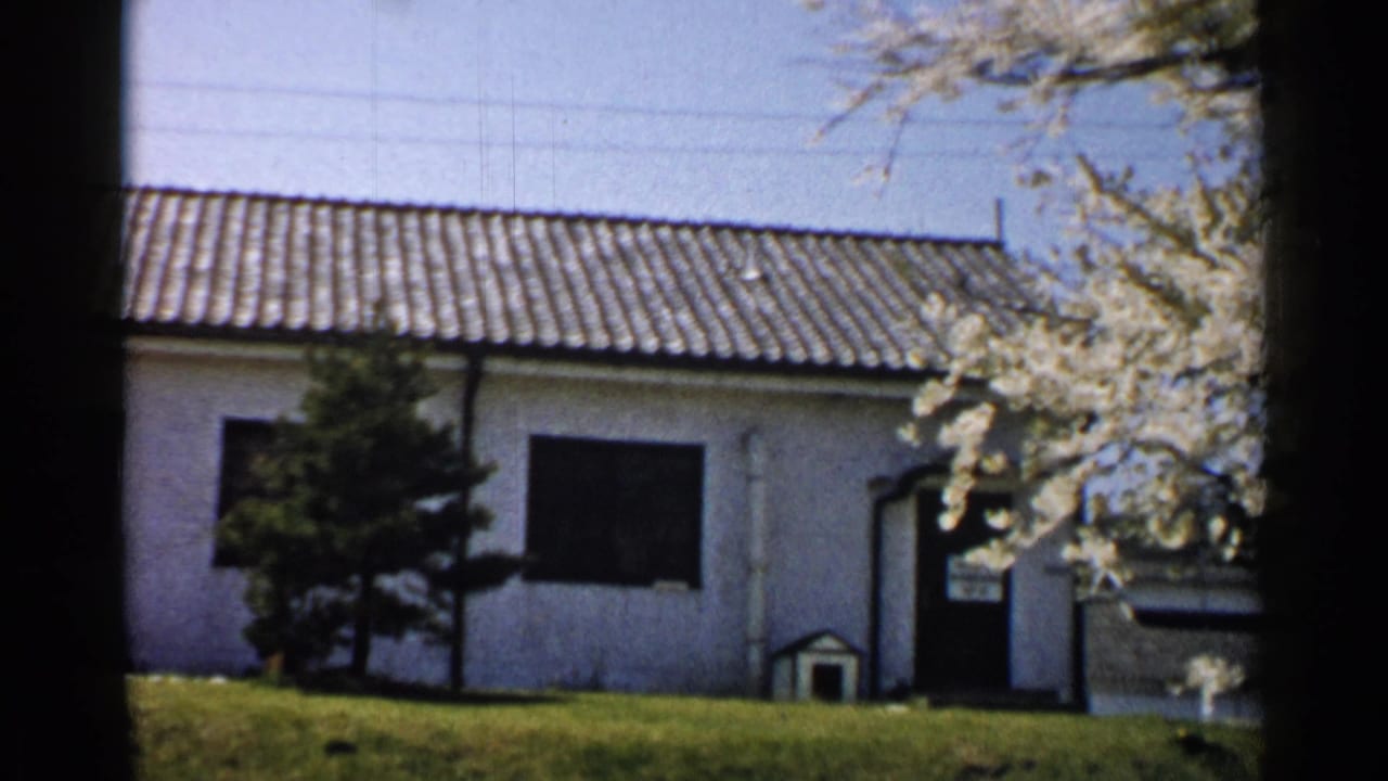 1952 Japan exterior view with tiled roof, white wall, flowering cherry branches, lawn, doorway, and small doghouse.