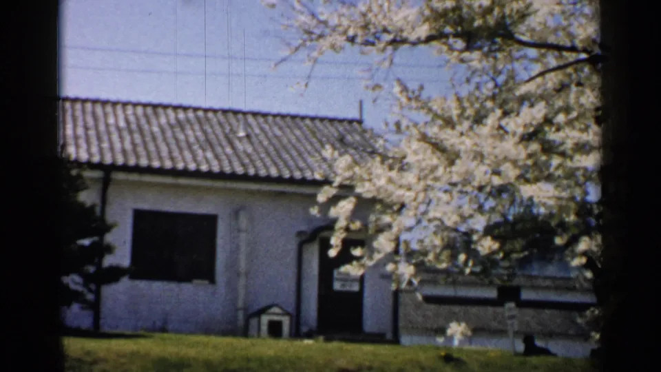 1952 Japan home-movie frame with a closer view of a tiled-roof house, flowering tree branches, lawn, and side doorway.