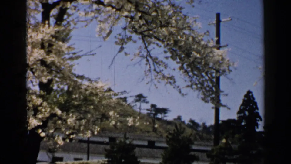 Mid-century Japan home-movie frame showing blossoms near a blue sky, a utility pole, hills and low rooflines.