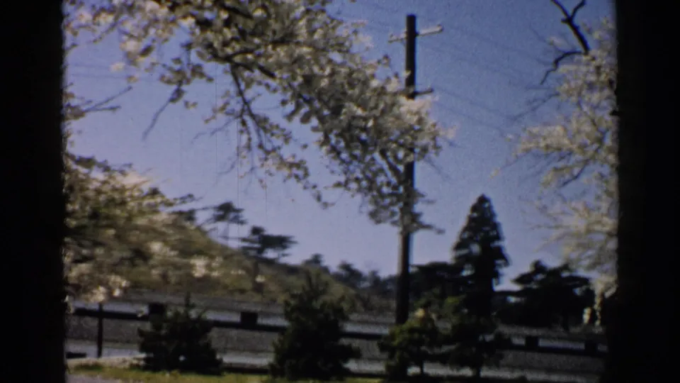 1952 Japan 8mm frame with a tall utility pole set against blue sky, blossom branches and a low hillside scene.