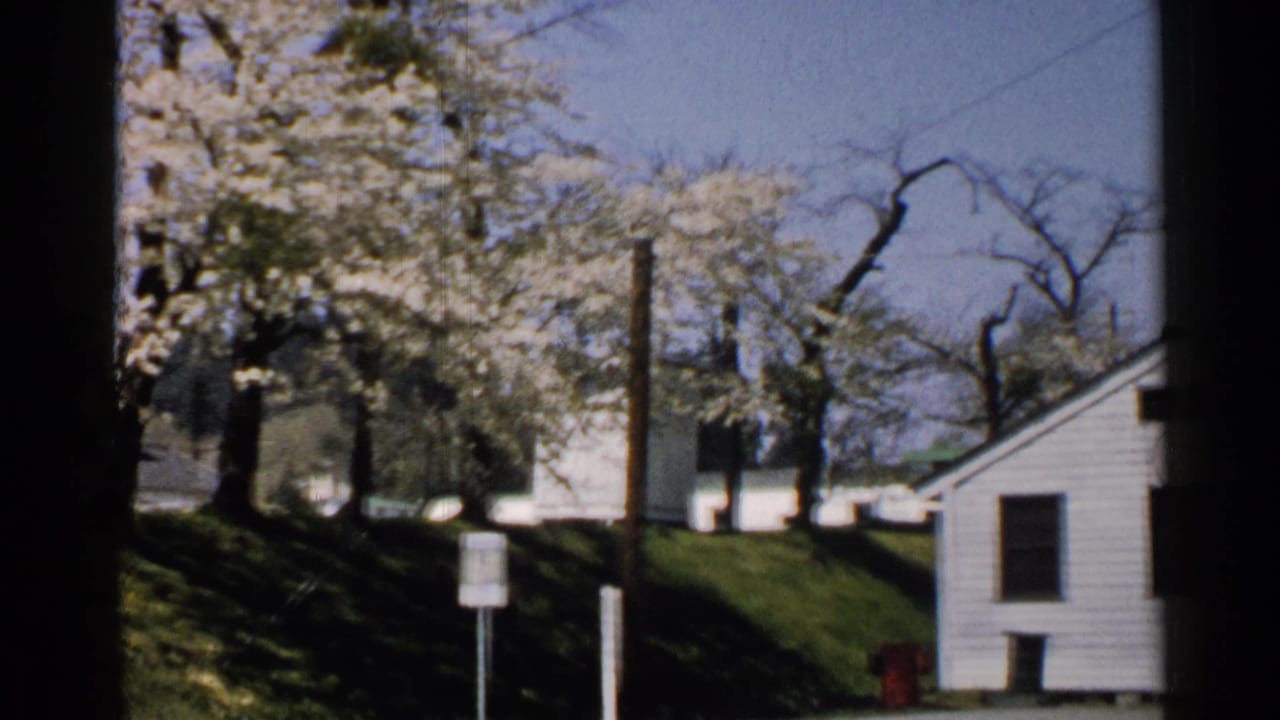 1952 Japan home-movie frame with blooming white trees, utility poles, a grassy embankment, roadside signs, and a small white building at right.