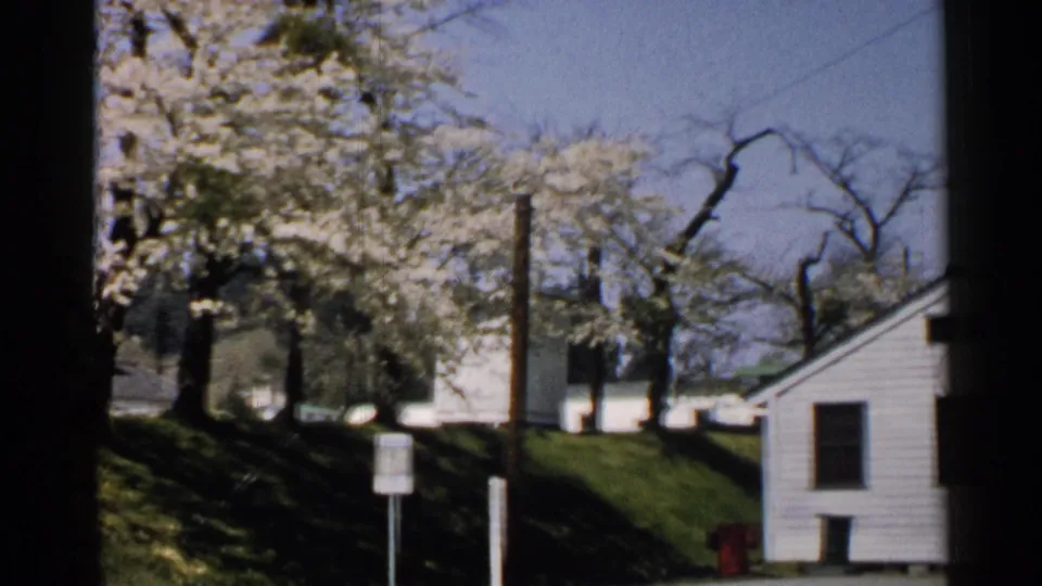 1952 Japan home-movie frame with blooming white trees, utility poles, a grassy embankment, roadside signs, and a small white building at right.