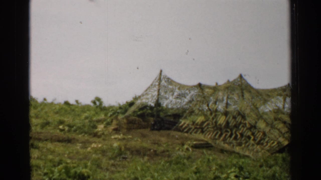 Camouflaged tent or netted cover in grass beneath a pale sky.