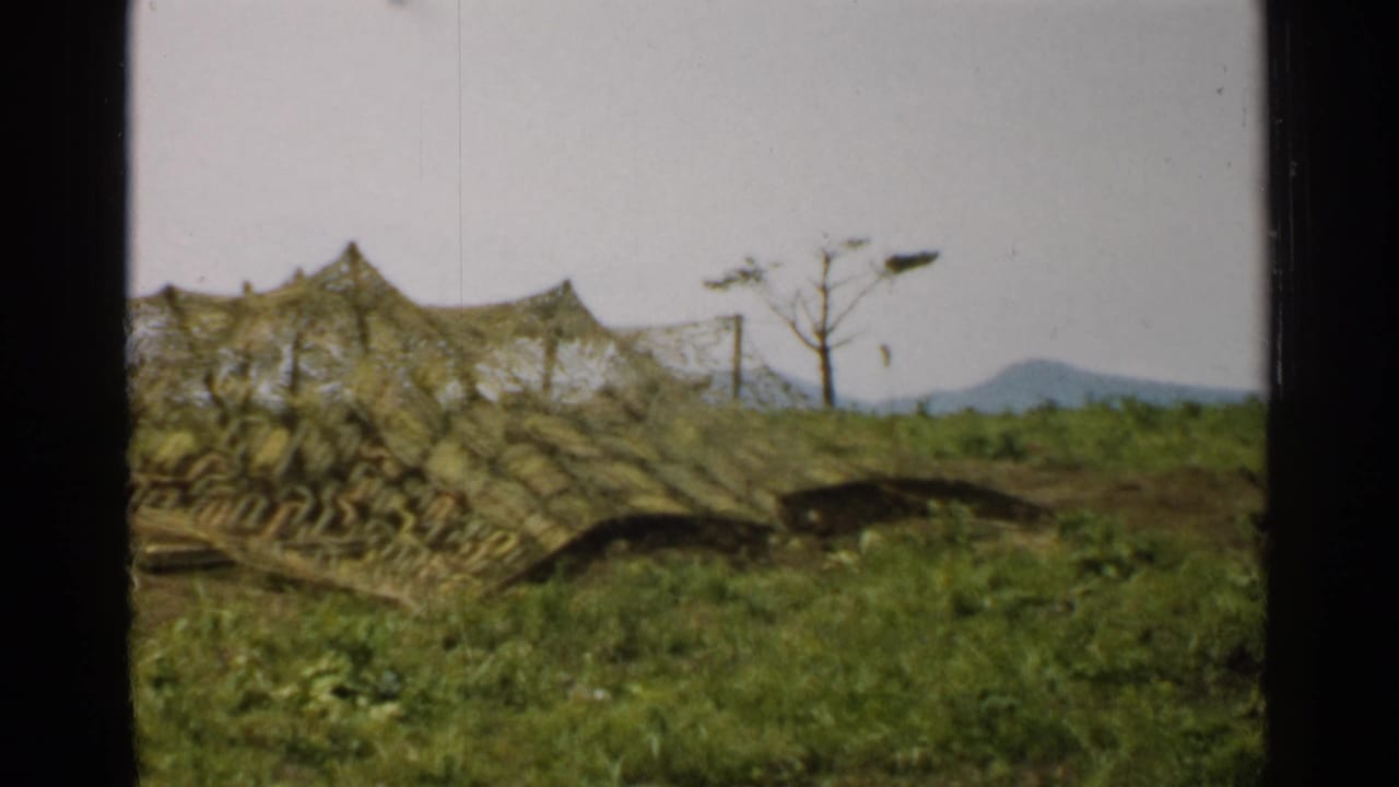 1952 Japan 8mm frame showing the left side of a camouflage net shelter, grassy ground, a bare tree, poles, and hazy hills.