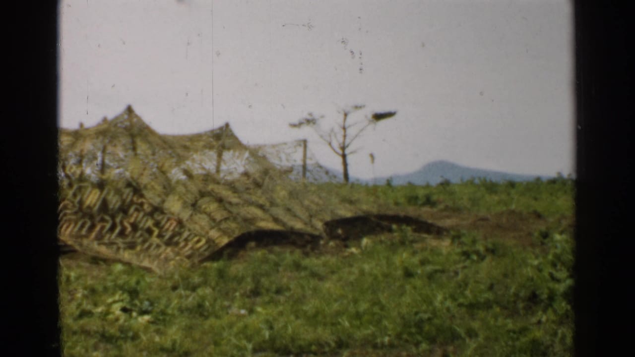 1952 Japan 8mm frame holding on a camouflage net tent in grass, with a bare tree, utility poles, muted sky, and mountain ridge.