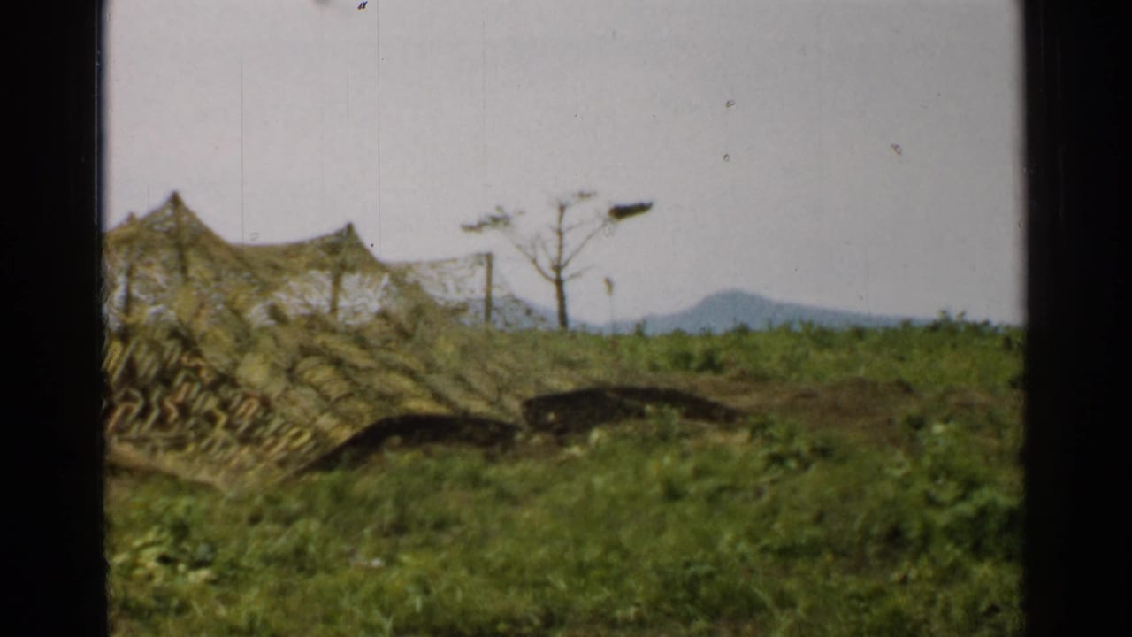 Camouflage netting and dark trench shapes in a grassy field with a bare tree and distant mountains.