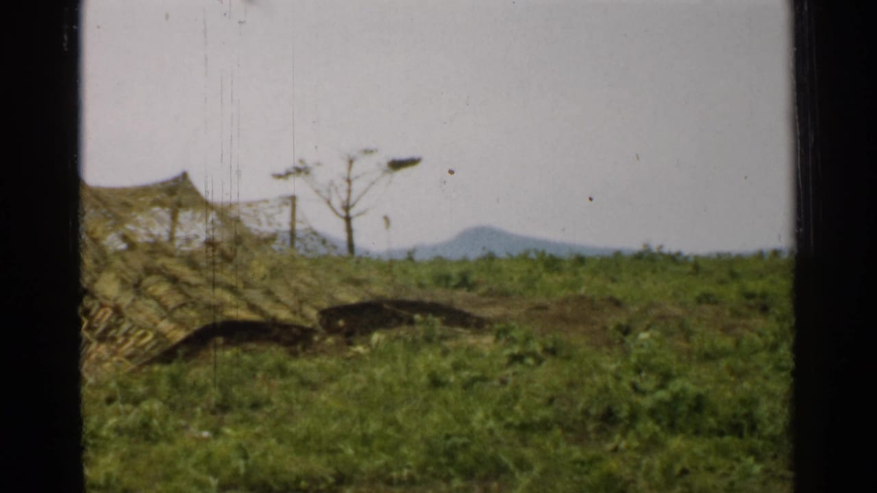 Camouflaged position in a grassy field with trench shapes, a bare tree, and mountains on the horizon.