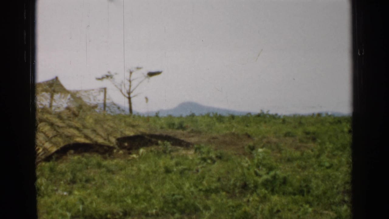 1952 Japan 8mm frame with camouflage netting at left, dark trench-like earthworks in the field, a bare tree, and hazy mountains beyond.