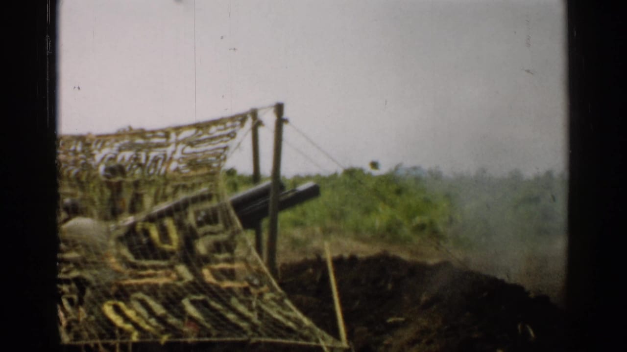 Artillery barrels behind camouflage netting with smoke or haze at the right edge.