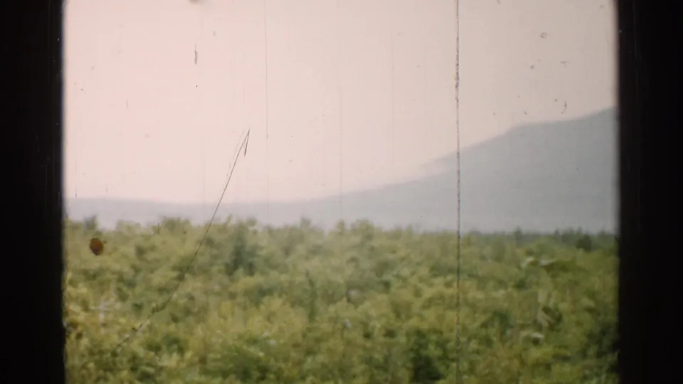The final frame shifts away from the officers to vegetation and hazy mountains near the camp setting in Japan.